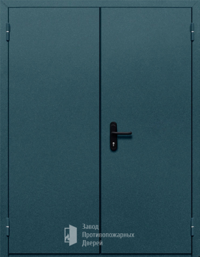Фото двери «Двупольная глухая №37» в Фрязино