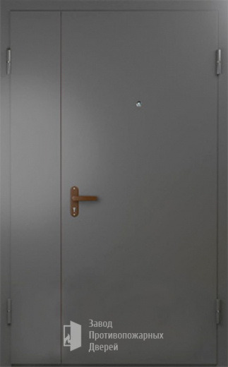 Фото двери «Техническая дверь №6 полуторная» в Фрязино