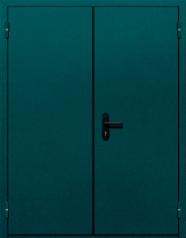 Фото двери «Двупольная глухая №36» в Фрязино