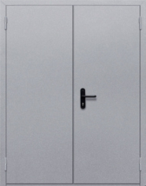 Фото двери «Двупольная глухая» в Фрязино